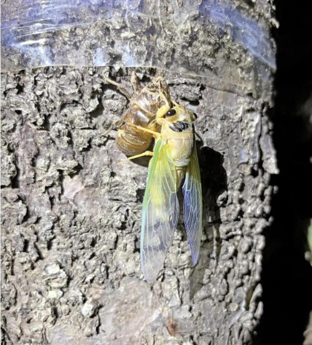 來濟南，“夏”鄉(xiāng)避暑