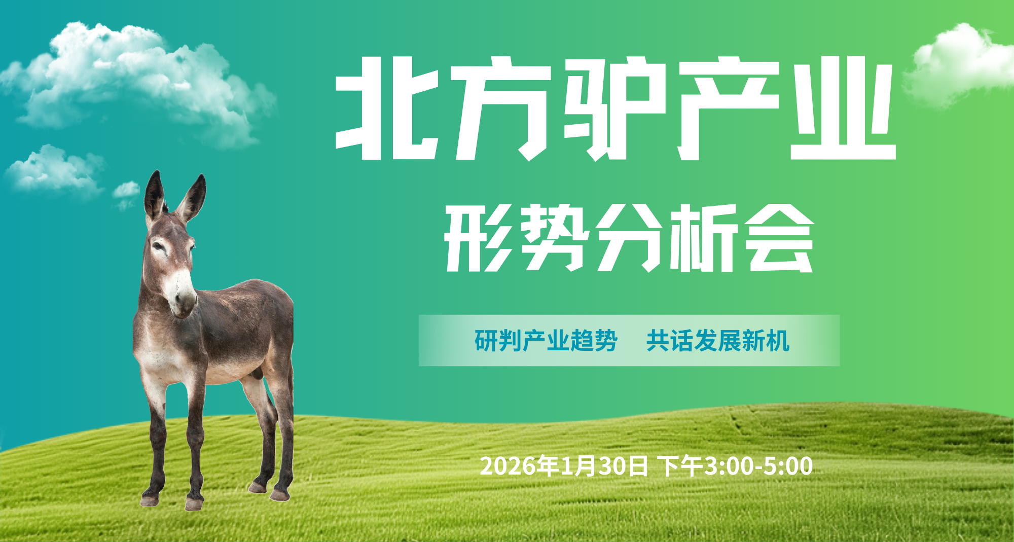 北方驢產(chǎn)業(yè)形勢分析會(huì)召開